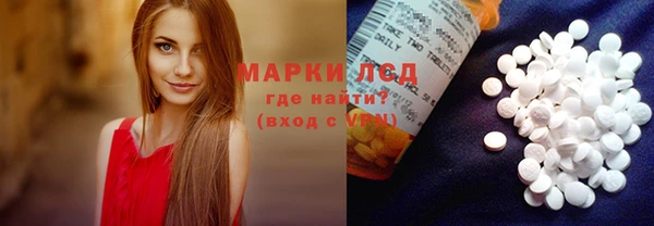 стаф Алексин