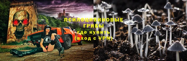 стаф Алексин