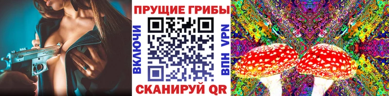 блэк спрут маркетплейс  Кызыл  Псилоцибиновые грибы GOLDEN TEACHER 