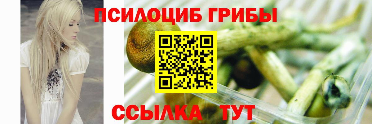 Кызыл  Галлюциногенные грибы ЛСД  Псилоцибиновые грибы MAGIC MUSHROOMS  Вход с VPN 